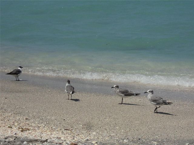 10037 AMICOLA STREET, Port Charlotte, FL 33981