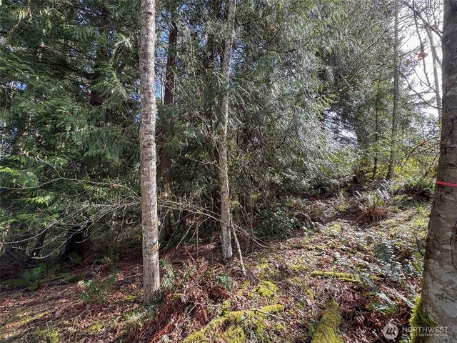 9999 Delguzzi Drive, Port Angeles, WA 98362