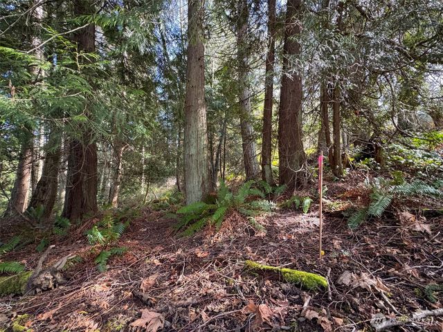 9999 Delguzzi Drive, Port Angeles, WA 98362