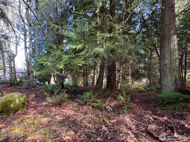 9999 Delguzzi Drive, Port Angeles, WA 98362