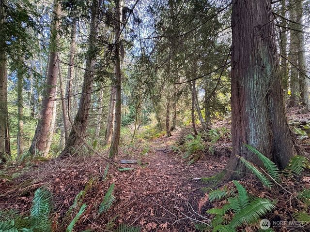 9999 Delguzzi Drive, Port Angeles, WA 98362