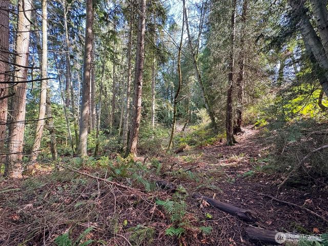 9999 Delguzzi Drive, Port Angeles, WA 98362