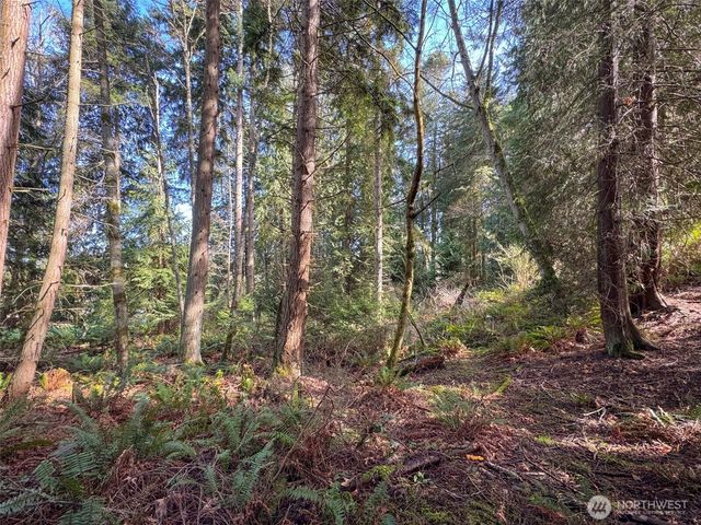 9999 Delguzzi Drive, Port Angeles, WA 98362