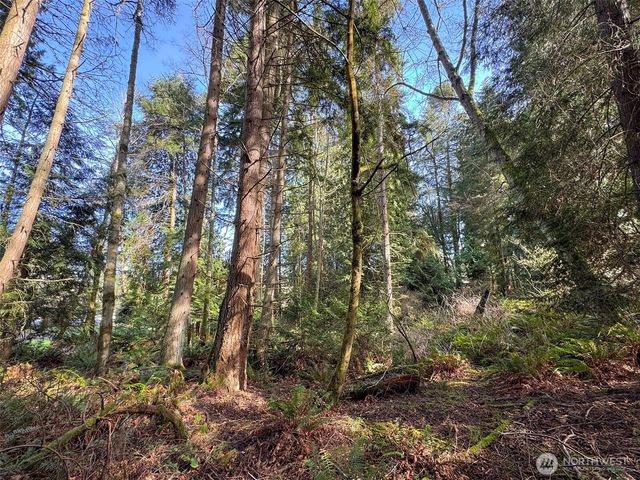 9999 Delguzzi Drive, Port Angeles, WA 98362