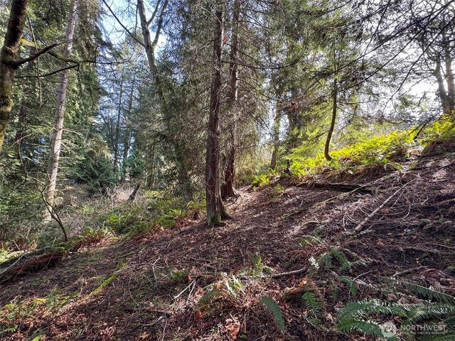 9999 Delguzzi Drive, Port Angeles, WA 98362