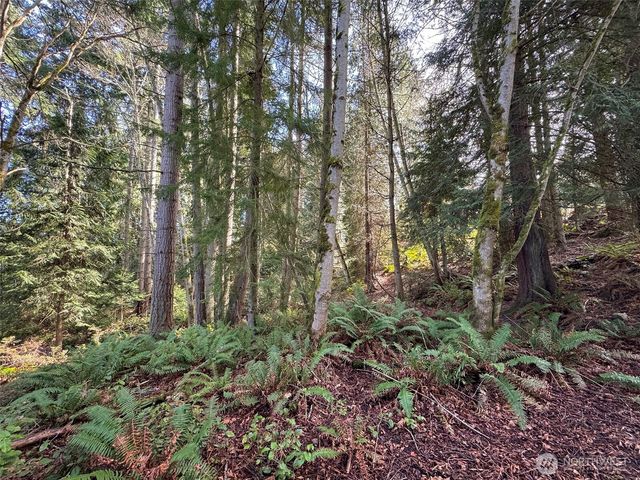 9999 Delguzzi Drive, Port Angeles, WA 98362