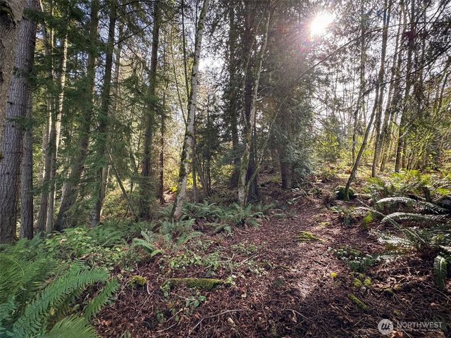 9999 Delguzzi Drive, Port Angeles, WA 98362