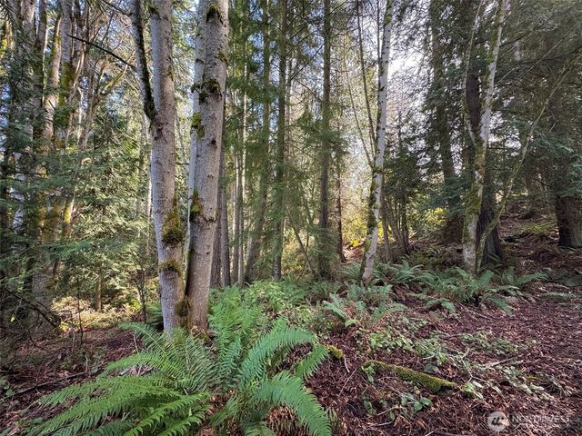 9999 Delguzzi Drive, Port Angeles, WA 98362