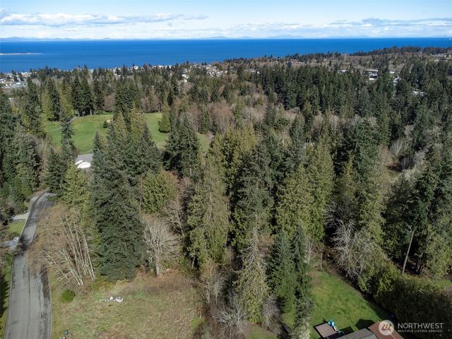 9999 Delguzzi Drive, Port Angeles, WA 98362