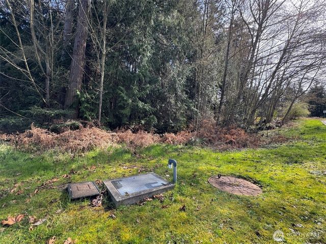 9999 Delguzzi Drive, Port Angeles, WA 98362