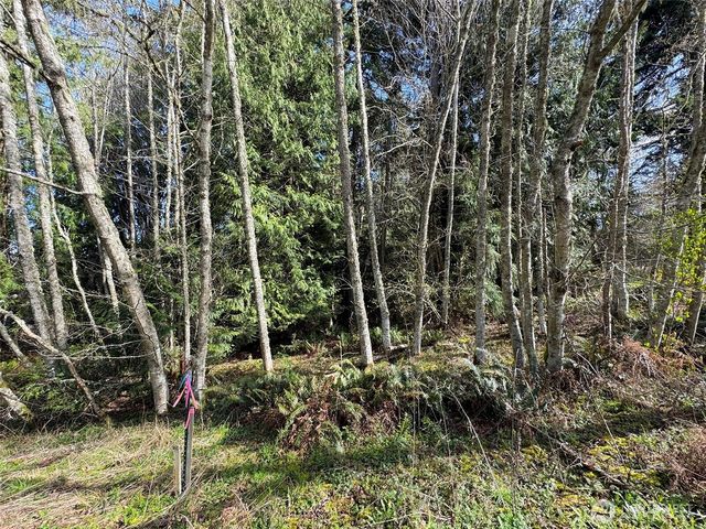 9999 Delguzzi Drive, Port Angeles, WA 98362