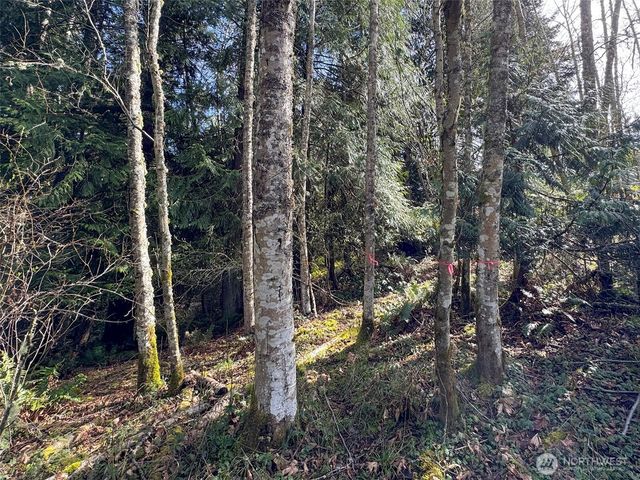 9999 Delguzzi Drive, Port Angeles, WA 98362