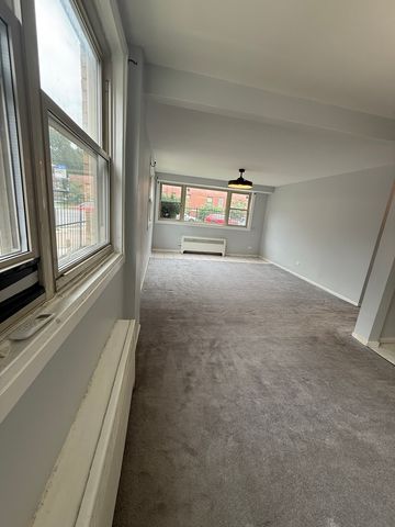 6700 S Paxton Avenue G2, Chicago, IL 60649