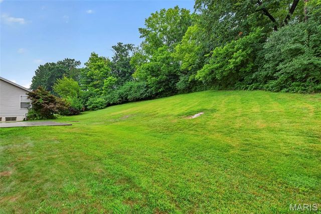 4014 Treeshadow Drive, St Peters, MO 63376