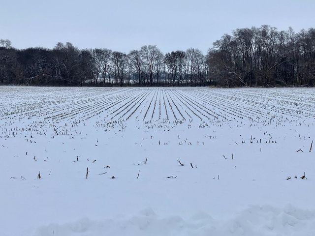 0 E 2nd Street, Tampico, IL 61283