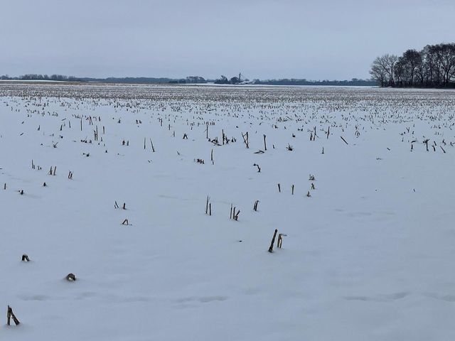 0 E 2nd Street, Tampico, IL 61283