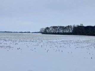 0 E 2nd Street, Tampico, IL 61283