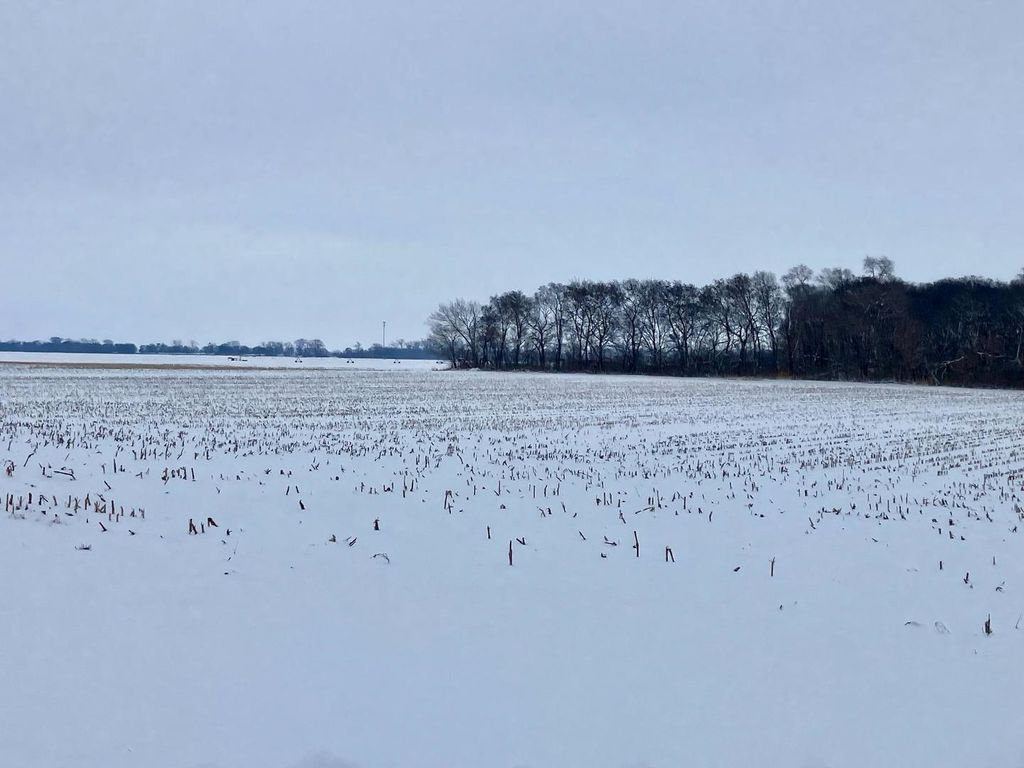 0 E 2nd Street, Tampico, IL 61283