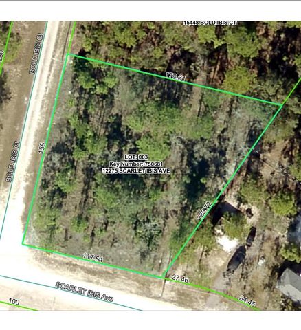 12275 SCARLET IBIS AVENUE, Weeki Wachee, FL 34614