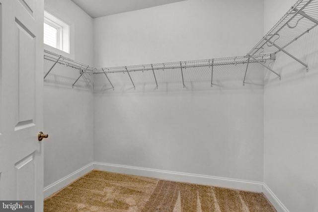 19331 LOBLOLLY CIR, Rehoboth Beach, DE 19971