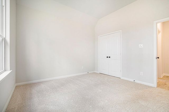 11772 Oakwood Ranch, Willis, TX 77378