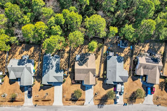 409 Blue Pennant Court, Sneads Ferry, NC 28460