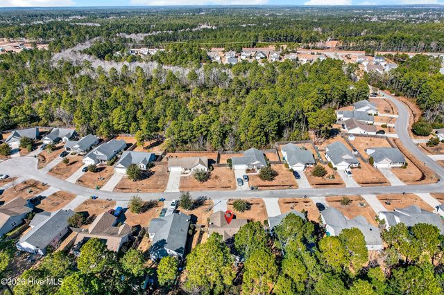 409 Blue Pennant Court, Sneads Ferry, NC 28460