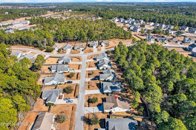 409 Blue Pennant Court, Sneads Ferry, NC 28460