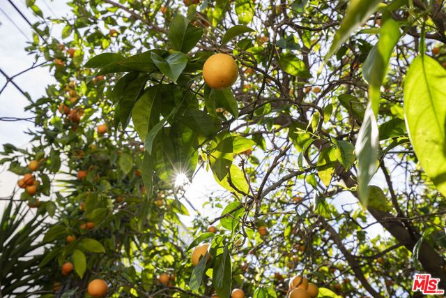 424 N Edinburgh Avenue, Los Angeles, CA 90048