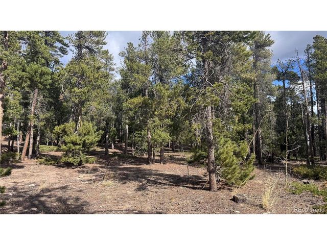 65 Dory Cir, Black Hawk, CO 80422