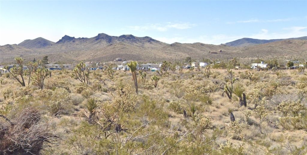 16773 N Pierce Ferry Road, Dolan Springs, AZ 86441