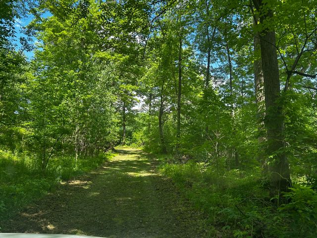 6670 Tower Lake Road Ne, Grattan Twp, MI 48809