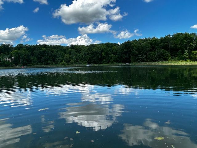 6670 Tower Lake Road Ne, Grattan Twp, MI 48809
