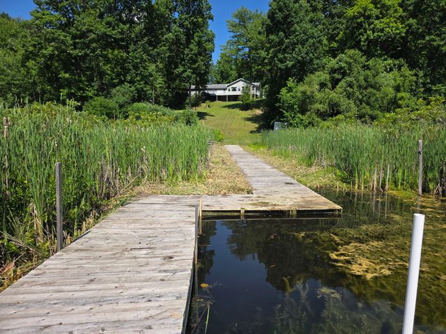 6670 Tower Lake Road Ne, Grattan Twp, MI 48809