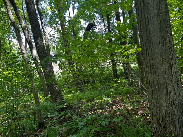 6670 Tower Lake Road Ne, Grattan Twp, MI 48809