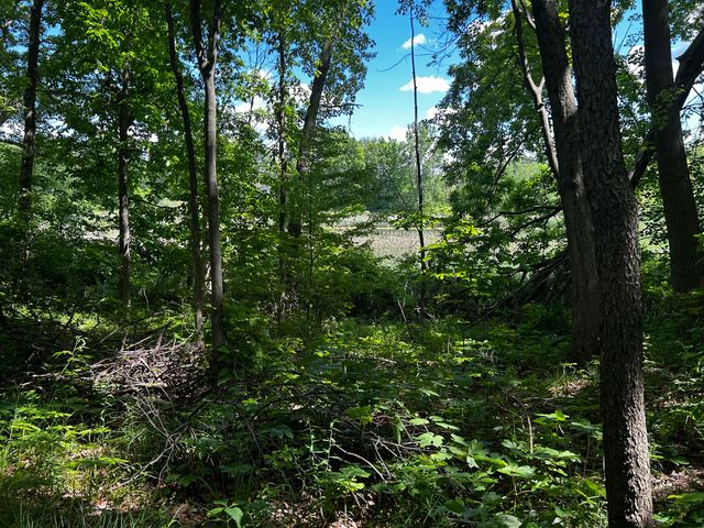 6670 Tower Lake Road Ne, Grattan Twp, MI 48809