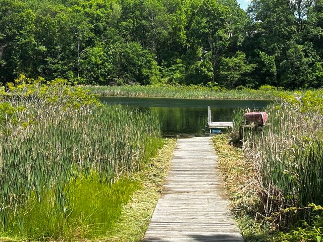 6670 Tower Lake Road Ne, Grattan Twp, MI 48809