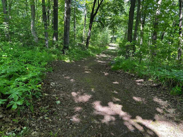 6670 Tower Lake Road Ne, Grattan Twp, MI 48809