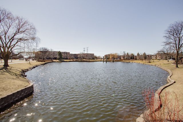 1101 S Hunt Club Drive 403, Mount Prospect, IL 60056