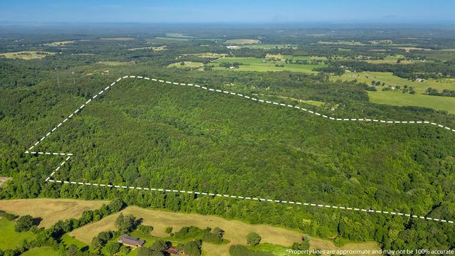 0 N Off Highway 411 Highway, Crandall, GA 30711