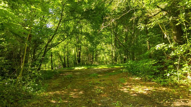 0 N Off Highway 411 Highway, Crandall, GA 30711