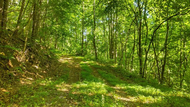 0 N Off Highway 411 Highway, Crandall, GA 30711