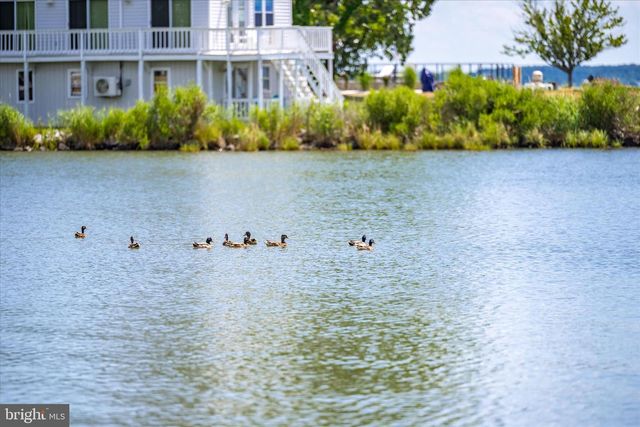 21441 DOGWOOD COVE RD, Tilghman, MD 21671
