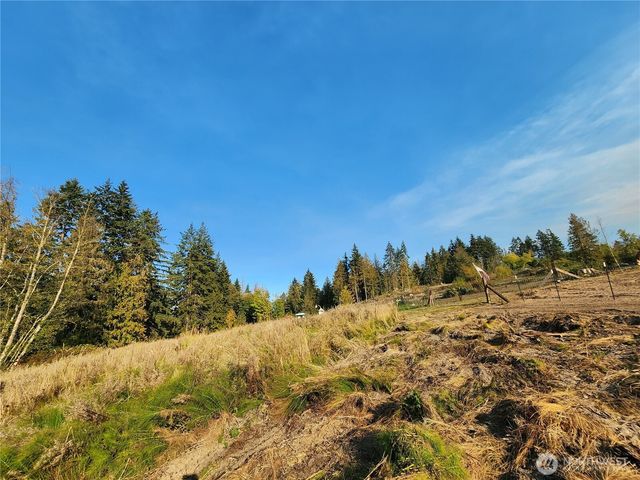 9999 Bravo, Lot 2 Road, Port Angeles, WA 98362