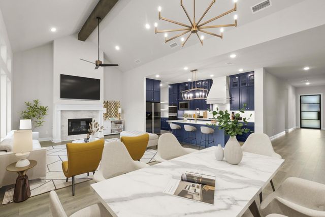 41813 Dalhart Drive, Todd Mission, TX 77316