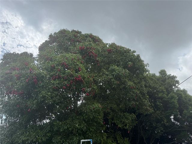 15001 SW 256th Street, Homestead, FL 33032