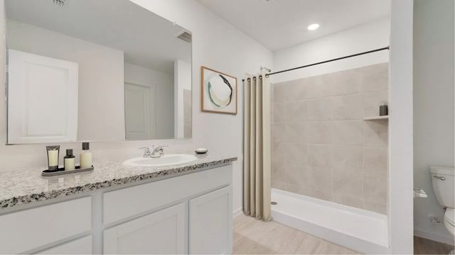 244 Bable Run Drive, Little Elm, TX 75068