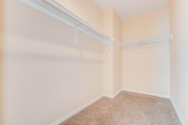 8605 Beviamo Street, Houston, TX 77031