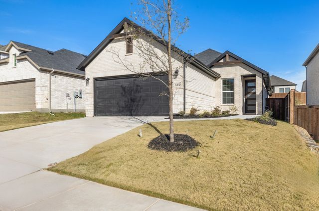 192 Pintail Lane, Rhome, TX 76078
