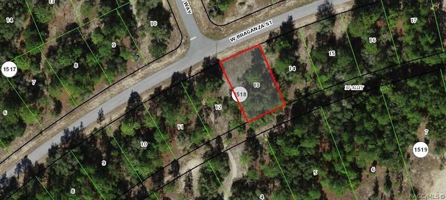 2596 W Braganza Street, Dunnellon, FL 34433
